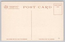 Fred Harvey Rounding Up a Herd Western Cattle Scene Postcard - Additional view 1