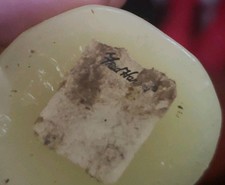 Vintage Fred Harvey's Cactus Shaped Wax Candle 1946 Southwest Tourist Souvenir - Additional view 1