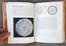 Pueblo Shields; Barton Wright; (from the Fred Harvey Fine Arts Collection) - Additional view 4