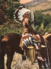 Vintage ARIZONA Indian Postcard 