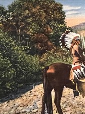 Vintage ARIZONA Indian Postcard 