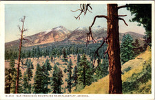 Fred Harvey Postcard San Francisco Mountains Near Flagstaff AZ #H-3121 1920s