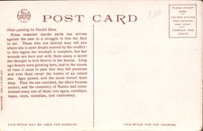 The Petrified Forest, Arizona Fred Harvey Phostint Postcard Harold Betts - Additional view 1