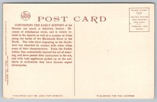 Navaho Child Zuyah-Chee Albuquerque New Mexico Fred Harvey c1930 Postcard N522 - Additional view 1