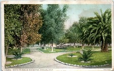 Santa Fe Park in Mid Winter, Needles, California Fred Harvey Postcard c1917