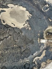 Rare Vintage Signed Sterling Silver 41” Concho Belt Fred Harvey Era Stamp Work - Additional view 20