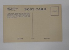 Fred Harvey Navajo Sage Native American Smoke Vintage Postcard Arizona Souvenir  - Additional view 1