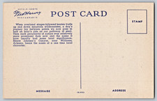 Santa Fe Streamliner Train 1940s Unused Fred Harvey Postcards x5 - Additional view 10