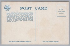 Fred Harvey Yucca Trees on Mojave Desert Near Barstow California CA Postcard - Additional view 1