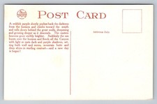 Fred Harvey Sunrise From Hermit Trail Grand Canyon AZ Old Vintage Postcard - Additional view 1