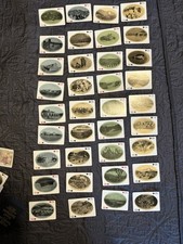 Vintage Souvenir Playing Cards Of The Great Southwest - Fred Harvey Great Canyon - Additional view 6