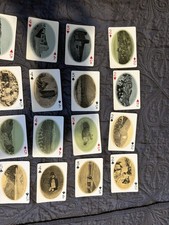 Vintage Souvenir Playing Cards Of The Great Southwest - Fred Harvey Great Canyon - Additional view 10