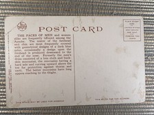 Apache Warrior at Navaho Rio Arizona Postcard Fred Harvey  - Additional view 1