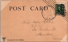 Among Palms Sanford Florida FL 1906 Fred Harvey Sabal Postcard - Additional view 1