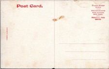 San Francisco Peaks Pine Forest Williams Arizona AZ Fred Harvey Postcard - Additional view 1