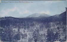 San Francisco Peaks Pine Forest Williams Arizona AZ Fred Harvey Postcard