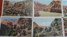 20 Fred Harvey Divided Back Postcards Grand Canyon Unposted Mules - Additional view 1