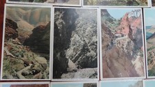 20 Fred Harvey Divided Back Postcards Grand Canyon Unposted Mules - Additional view 3