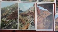 20 Fred Harvey Divided Back Postcards Grand Canyon Unposted Mules - Additional view 6