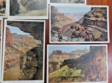 20 Fred Harvey Divided Back Postcards Grand Canyon Unposted Mules - Additional view 7