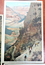 20 Fred Harvey Divided Back Postcards Grand Canyon Unposted Mules - Additional view 8