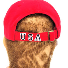 Fred Harvey Trading Grand Canyon 1919 Hat Red Strapback 100% Cotton Embroidered - Additional view 5