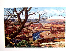 Vintage FRED HARVEY Grand Canyon National Park Art Print PortfoliIo-$17.95 EACH - Additional view 16