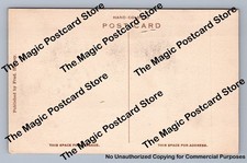 Sweet Potato Patch Farmer DEMING New Mexico Hand Colored Albertype Fred Harvey - Additional view 1