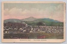 Williams Arizona Bird's Eye View Hand-Colored Fred Harvey c1910s Postcard