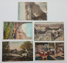 5 Vintage Postcards Mixed Grand Canyon Arizona Hermit Trail Camp Fred Harvey