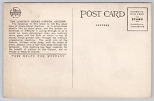 Fred Harvey Grand Canyon Arizona The Lookout Telescope Vintage Postcard - Additional view 1