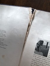 Glimpses Of The Grand Canyon Of Arizona By Henry G. Peabody Fred. Harvey 1902 HC - Additional view 9